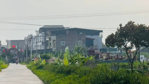  UBND tỉnh Hải Dương phân công thực hiện một dự án kết nối với Hải Phòng, Sở Nông nghiệp và Môi trường có nhiệm vụ gì?