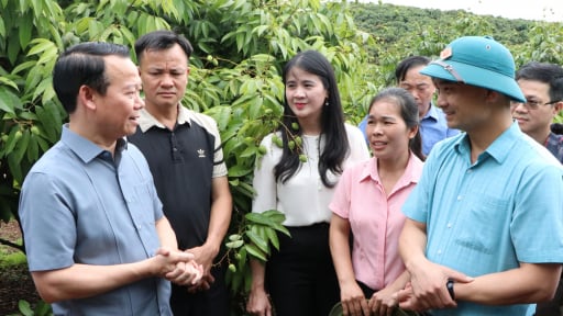 Kiểm tra vùng trồng vải thiều ở Bắc Giang, Bộ trưởng Đỗ Đức Duy gợi mở cách để xuất khẩu giá trị cao, một doanh nghiệp 'chốt đơn' 500 tấn vải
