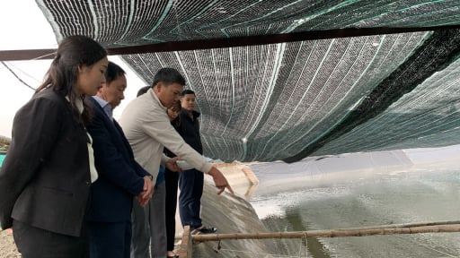 3 tỷ phú Nam Định ở một huyện, là Nông dân Việt Nam xuất sắc, hộ nuôi yến, nuôi ốc hương, hộ trồng nấm