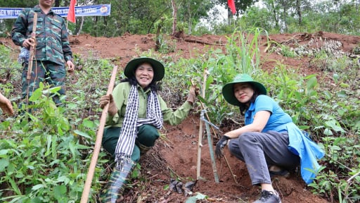Điện Biên: Phát động Tết trồng cây và hưởng ứng Tháng công nhân 2025