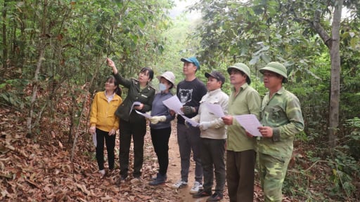 Điện Biên: Chi trả dịch vụ môi trường rừng - 'lá chắn xanh' vững chắc, 'điểm tựa' kinh tế cho người dân