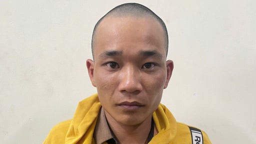 Công an Long An bắt nghi phạm đánh chết người vì ghen 
