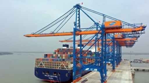 Nguy cơ thiếu những cái thùng lạnh khổng lồ để vận chuyển hàng hóa, doanh nghiệp ngành thực phẩm, thủy sản toàn cầu lo lắng 