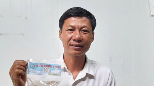 Con động vật gì trôi lập lờ ngoài biển, anh nông dân Quảng Trị đem về 'chế' kiểu nào ra nguyên liệu đặc sản, bán hút hàng?