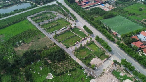 Đất đấu giá ở ngoại thành bỏ hoang 'ê chề' nhưng vẫn rầm rộ đấu giá