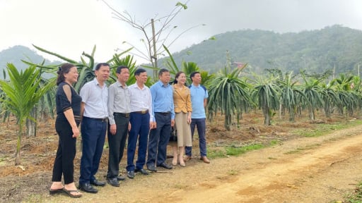 Hội Nông dân Việt Nam: Phát huy hiệu quả mô hình câu lạc bộ nông dân, tạo 'điểm tựa' giảm nghèo