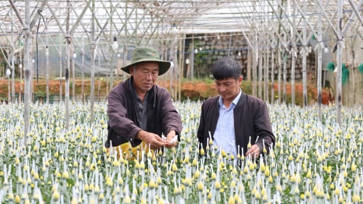 Nhờ vốn Quỹ hỗ trợ nông dân, người dân Đà Lạt có tiền tái đầu tư, giảm nhà kính