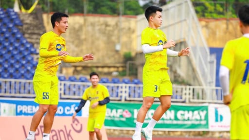 SLNA rơi vào “cơn bĩ cực'