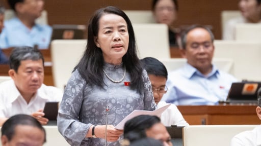 Bỏ quyền chất vấn Chánh án và Viện trưởng VKSND của đại biểu HĐND, nếu dân bị oan sai sẽ nhờ cậy ai?