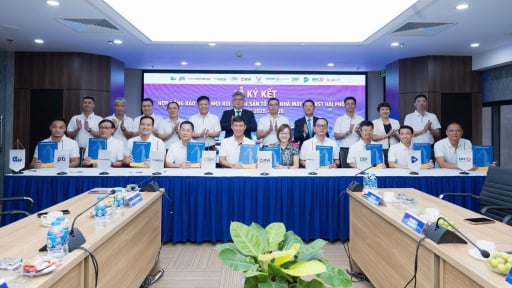 Liên danh Bảo hiểm triển khai chương trình bảo hiểm mọi rủi ro tài sản tổ hợp Nhà máy Vinfast Hải Phòng giai đoạn 2025 - 2026