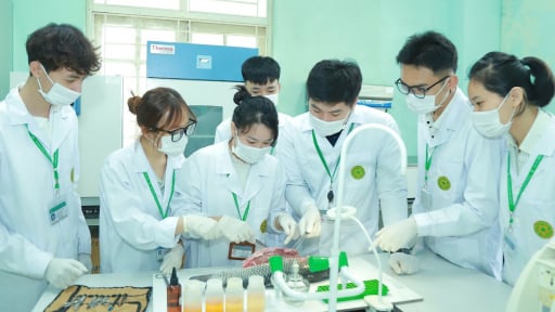 Khi sinh viên Học viện Nông nghiệp Việt Nam 'soi' bệnh cho các loài tôm, cá