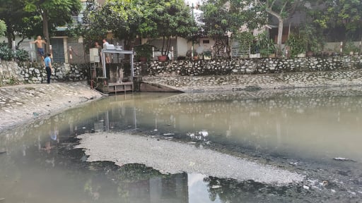 “Ngạt thở” vì hồ Nguyễn Chính ô nhiễm giữa lòng Thủ đô