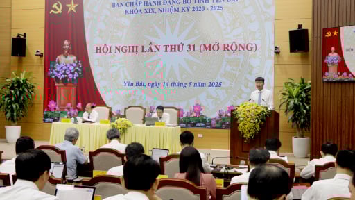 Ban Chấp hành Đảng bộ tỉnh Yên Bái thông qua nhiều Nghị quyết quan trọng