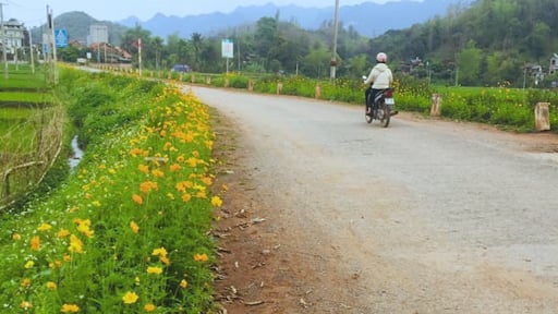 Nỗ lực bảo vệ môi trường nông thôn, một huyện của tỉnh Sơn La đang là điểm đến hút chân du khách