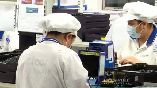 Cập nhật tình hình đàm phán về thuế đối ứng của Hoa Kỳ với hàng xuất khẩu của Việt Nam