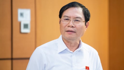 Đại tướng Nguyễn Tân Cương: Không đưa lực lượng gìn giữ hòa bình đến nơi có tham chiến