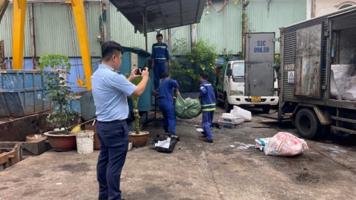 Phát hiện buôn bán hàng chục tấn thực phẩm không rõ nguồn gốc ở TP.HCM, nổi bật là nội tạng động vật, bò khô, yến sào...
