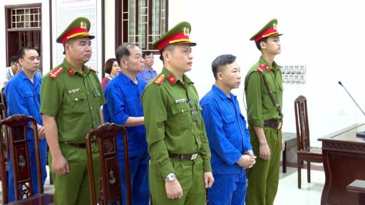 Luật sư của ông Lưu Bình Nhưỡng xin cho thân chủ được hưởng tối đa sự khoan hồng