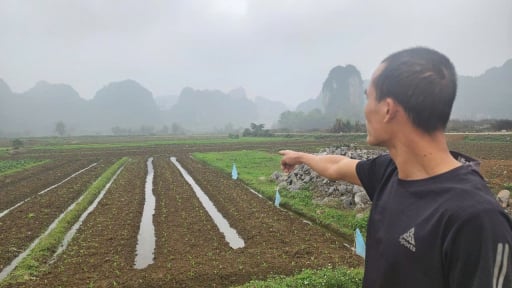 Vụ vi phạm trong cấp sổ đỏ tại xã Ngọc Lương (Hòa Bình): Vụ việc phức tạp, gia hạn thời gian thanh tra