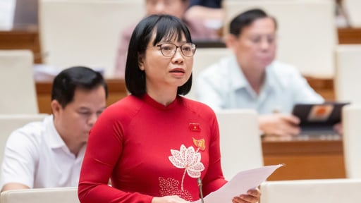 Nghị quyết cơ chế đặc biệt cho tư nhân: Tránh “quay” doanh nghiệp, chặn “công ty ma” trục lợi