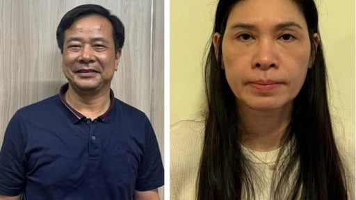 Vợ chồng Chủ tịch Công ty Hoàng Long bị khởi tố: Nếu sai phạm về kế toán gây hậu quả nghiêm trọng sẽ bị xử lý ra sao?