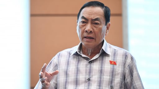 Đại biểu Quốc hội nói 'đau lòng' khi thấy tài xế bỏ xe vì mức phạt vi phạm giao thông quá cao