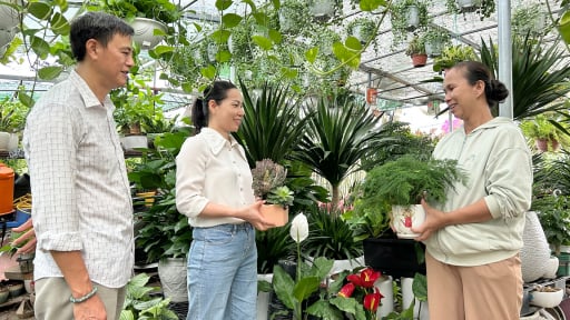 Nguồn lực quan trọng của Hội Nông dân đang góp phần phát triển nông nghiệp đô thị ở Đà Nẵng