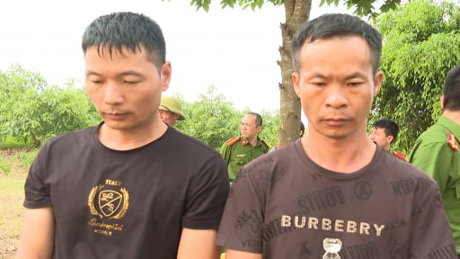 Khởi tố 2 người Trung Quốc đào mộ vua Lê Túc Tông tìm cổ vật, một đồng phạm đã trốn