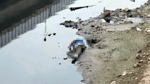 Hà Nội: Phát hiện thi thể người đàn ông trên sông Tô Lịch