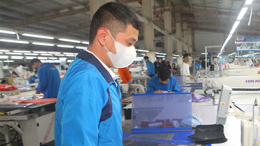 Tỉnh Nam Định tăng tốc điều tra doanh nghiệp, trước giờ sáp nhập với tỉnh Ninh Bình, Hà Nam
