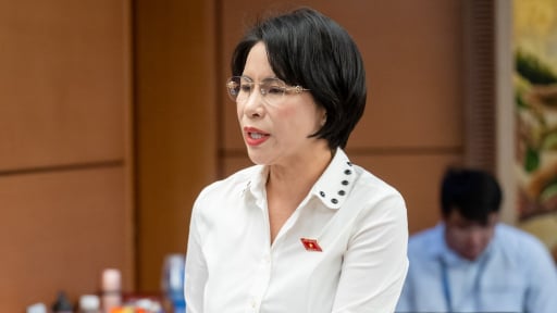 Đại biểu Quốc hội: Cầu thủ Nguyễn Xuân Son giúp ĐT Việt Nam vô địch AFF Cup nhưng nhập tịch khó khăn