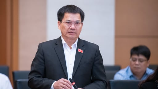 Hàng loạt vụ hàng giả bị Bộ Công an triệt phá: ĐBQH đề nghị cần có rào chắn nạn “xâm lăng” của hàng nhập khẩu kém chất lượng