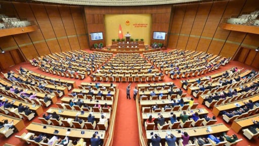 PGS.TS Ngô trí Long: Sửa đổi Hiến pháp là bước đi cần thiết để cải cách tổ chức, nâng cao tính đại diện