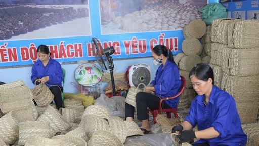  Tỉnh Nam Định, Ninh Bình cùng đạt được một thành tích rất cao, trước khi về 'chung nhà' với Hà Nam thành tỉnh Ninh Bình