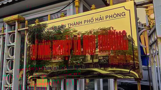 Bộ Nông nghiệp và Môi trường đưa ra định hướng kiện toàn cơ quan chuyên môn về nông nghiệp và môi trường sau sáp nhập tỉnh, xã