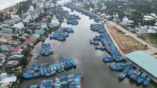 Nhiều cán bộ ở Bình Định bị kiểm điểm sau khi Bộ Tư pháp 'soi' vi phạm