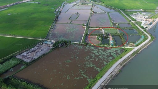 Huyện Tiền Hải, Thái Bình: Dân khổ vì ô nhiễm không khí từ cơ sở phơi sấy chân gà