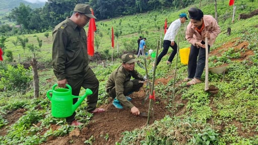 Sôi nổi ngày hội ra quân trồng, chăm sóc cây mắc ca tại huyện Tuần Giáo