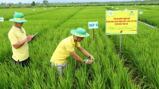 Khoa học công nghệ: Nền tảng đưa Petrovietnam bước vào kỷ nguyên mới