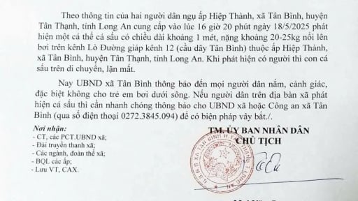 Xuất hiện một con động vật hoang dã dài 1m bơi trên kênh, chính quyền xã này ở Long An phát cảnh báo