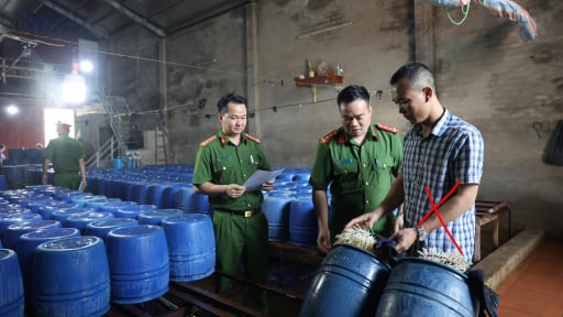 Công an phát hiện cơ sở sản xuất giá đỗ ngâm hóa chất, hơn 60 tấn đã len lỏi vào bữa ăn hàng ngày