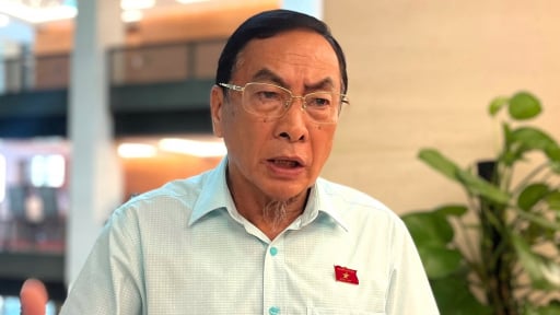 Từ vụ hoa hậu Nguyễn Thúc Thuỳ Tiên bị bắt: Đại biểu Quốc hội nói gì việc chống hàng gian, hàng giả?
