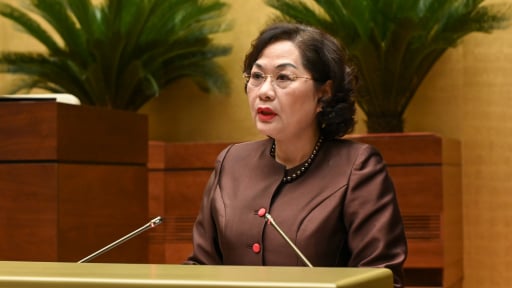 Đề xuất trao quyền của Thủ tướng cho Ngân hàng Nhà nước đối với khoản vay đặc biệt, lãi 0%, không thế chấp