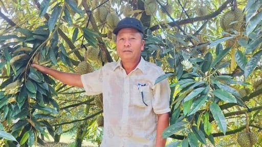 Tỷ phú Đồng Nai là một nông dân thu nhập 8,5 tỷ/năm, ông trồng cây tiền tỷ gì vậy?