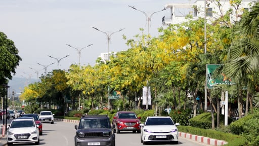 Cung đường hoa, con đường hoa đẹp như phim đang gây 'sốt mạng' ở Hà Tĩnh