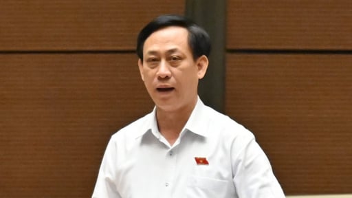 Đại biểu Quốc hội lo lắng một cuộc thanh tra kéo dài 120 ngày sẽ ảnh hưởng cơ quan, doanh nghiệp