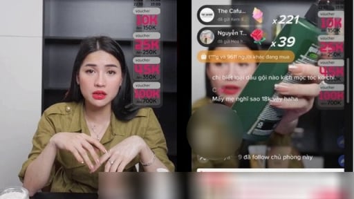 Công ty của TikToker Võ Hà Linh bị kiểm tra