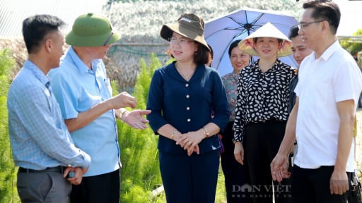 Giải báo chí toàn quốc về nông nghiệp, nông dân, nông thôn 2025: Lần đầu tiên có hạng mục thi viết 95 năm truyền thống Hội Nông dân Việt Nam