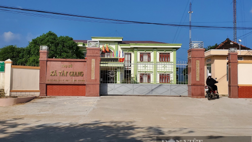 Không kiểm soát nổi khoáng sản 'lậu', Chủ tịch xã ở Bình Định bị buộc 'tạm rời ghế'