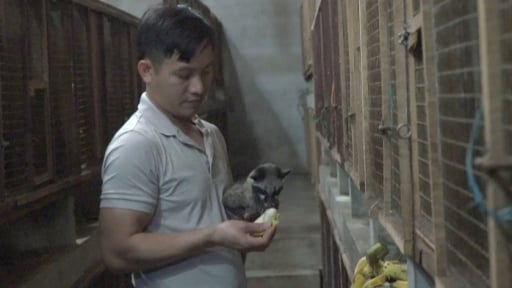 'Hotboy Quảng Bình' nuôi con vật hoang dã gì mà cứ 'ngủ ngày cày đêm', hễ bán là ra ngay 'con đặc sản'?